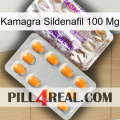 Kamagra Sildenafil 100Mg new12